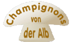 Frank Geiselhardt